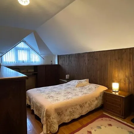 Full Furnished Cozy Rooftop 21 Flat In Maltepe Apartment *