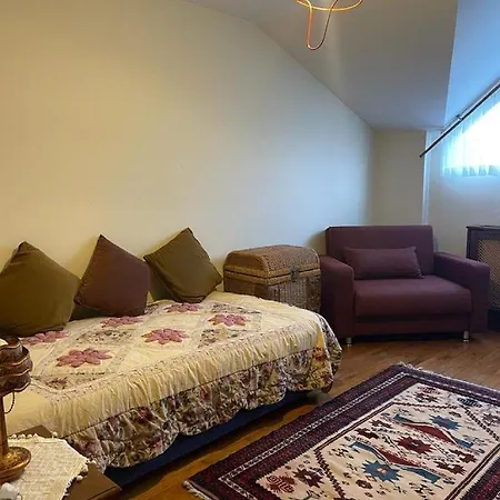 Apartment Full Furnished Cozy Rooftop 21 Flat In Maltepe